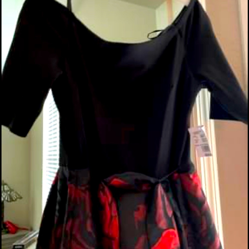 BNWT- from David’s Bridal- formal dress. Black top with red and black bottom.